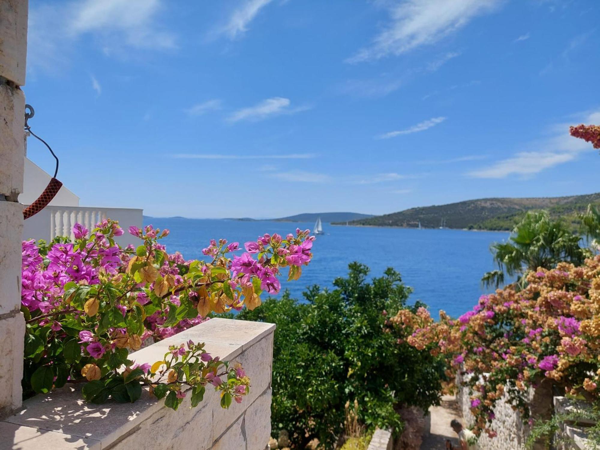 Villa Oliva Seget Vranjica Esterno foto