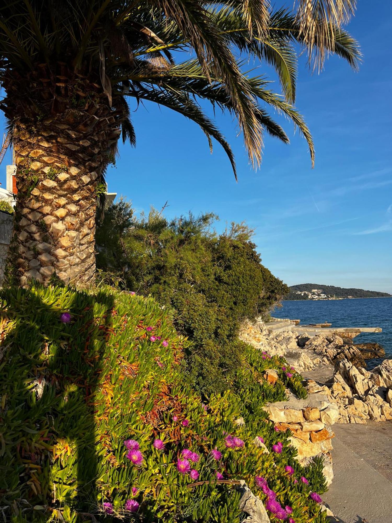 Villa Oliva Seget Vranjica Esterno foto