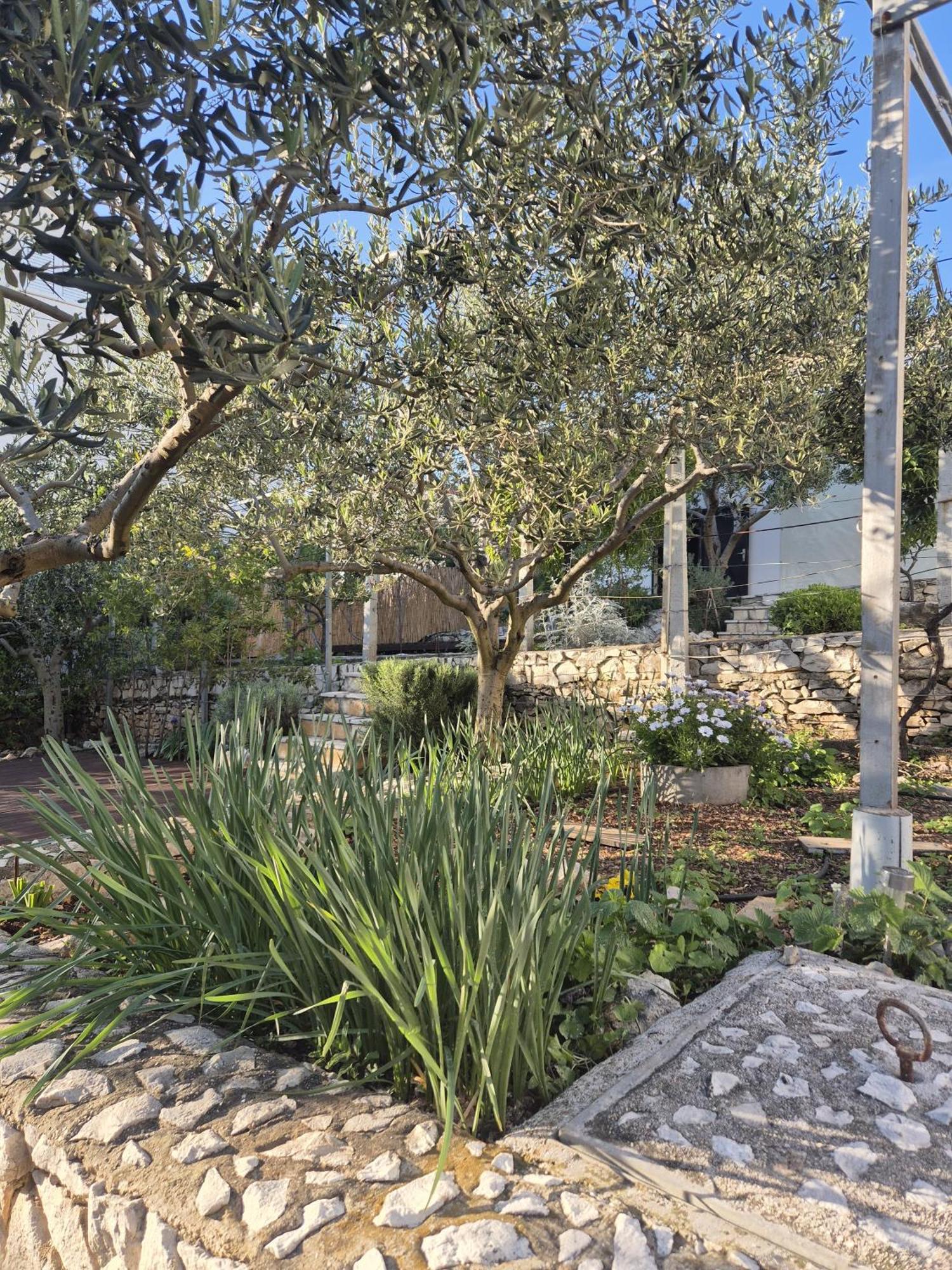 Villa Oliva Seget Vranjica Esterno foto